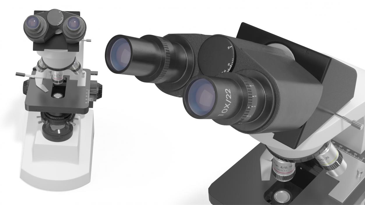 3D model Compound Light Microscope