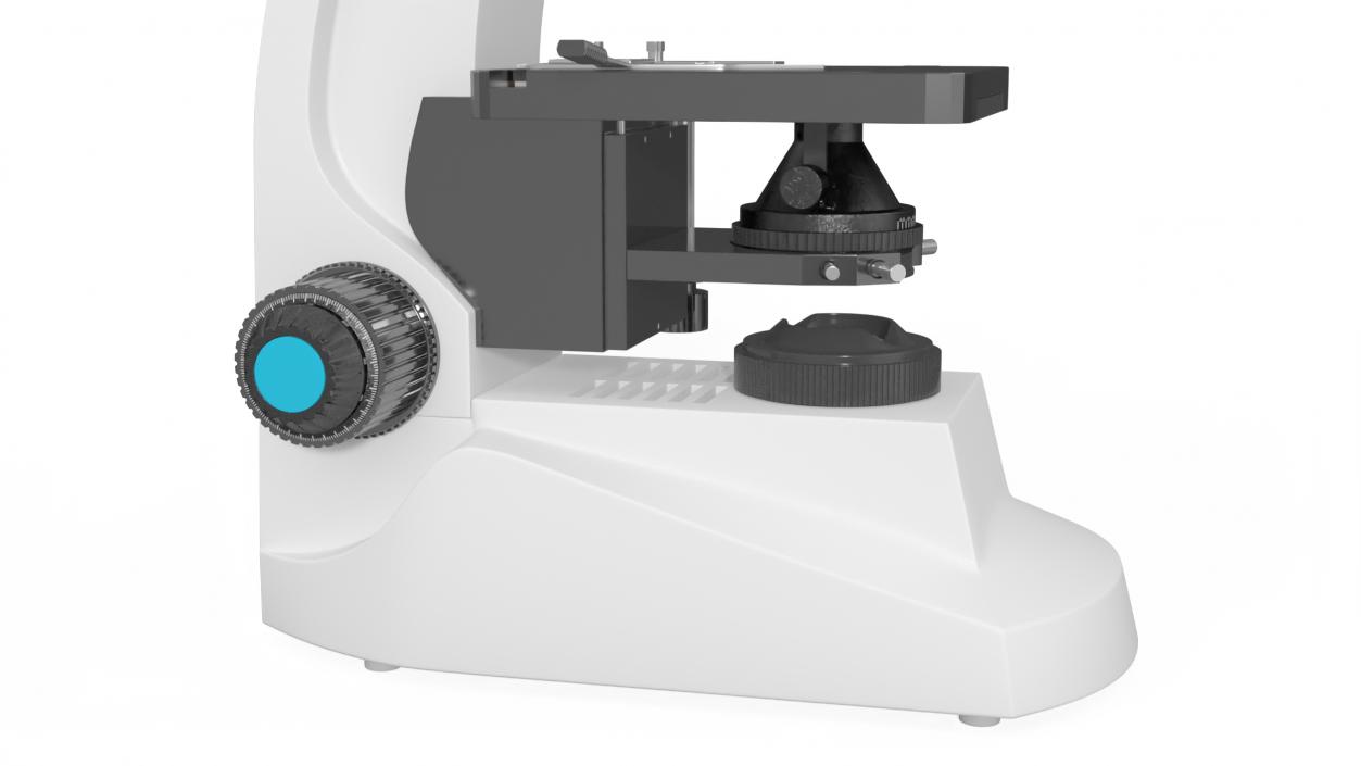 3D model Compound Light Microscope