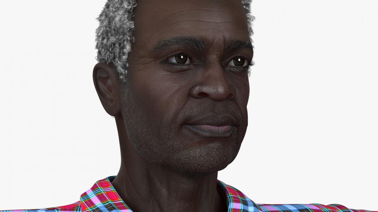 Home Style Afro American Man Rigged for Modo 3D model