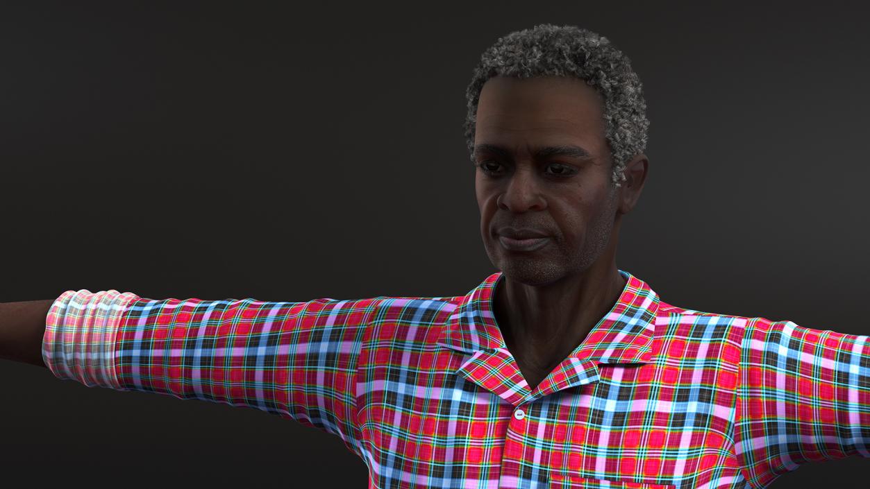 Home Style Afro American Man Rigged for Modo 3D model