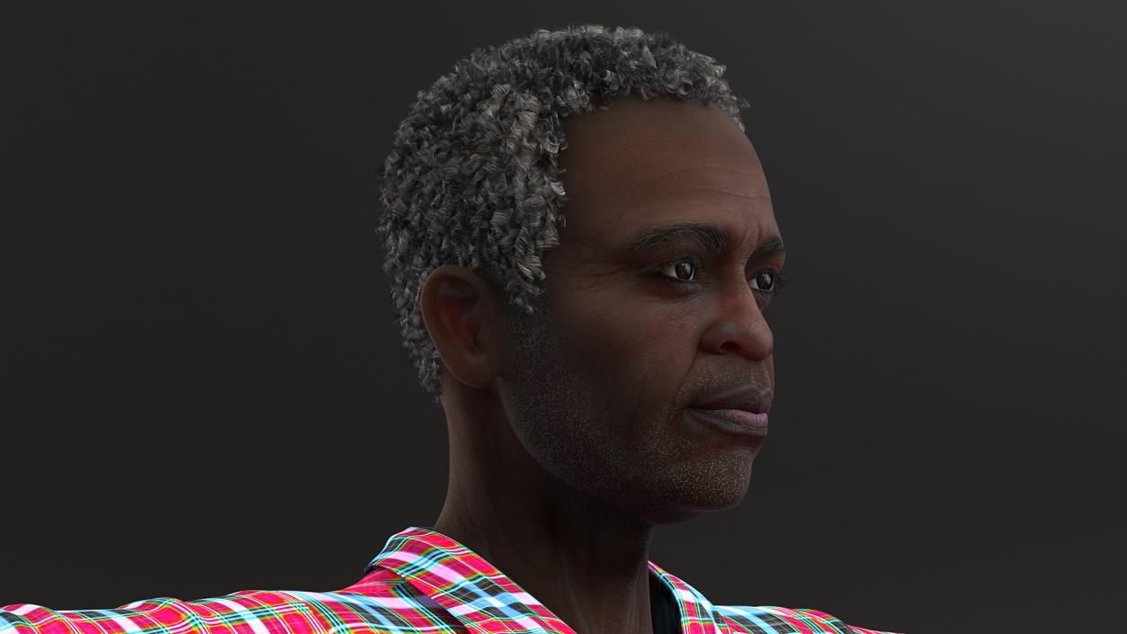 Home Style Afro American Man Rigged for Modo 3D model