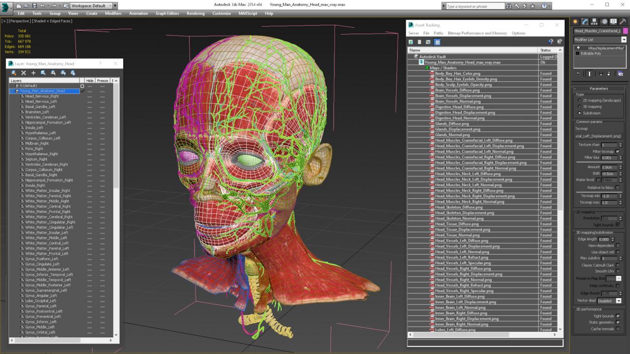 Young Man Anatomy Head 3D