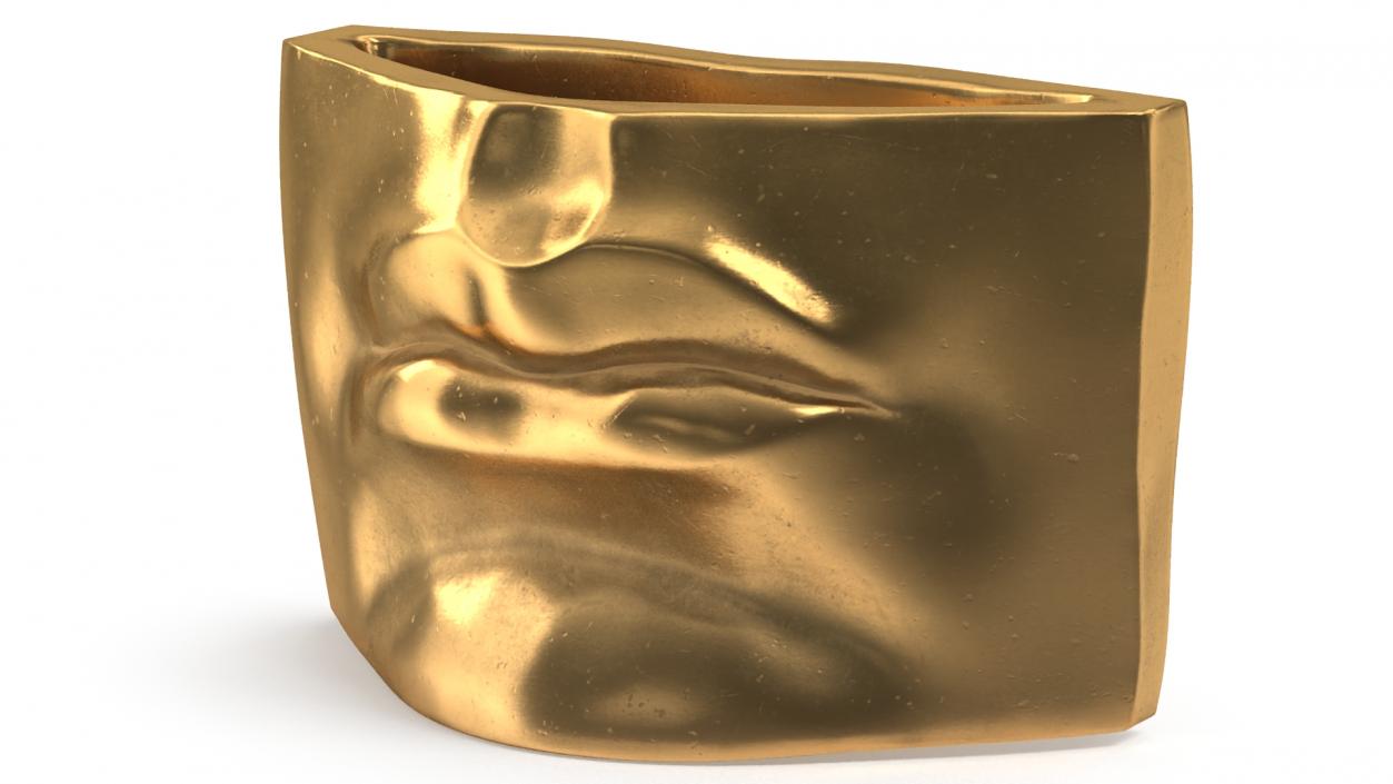 Michelangelo David lips decor Gold 3D model