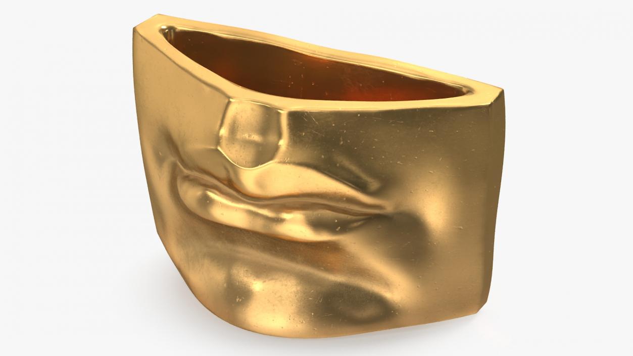 Michelangelo David lips decor Gold 3D model