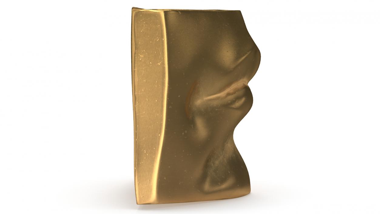 Michelangelo David lips decor Gold 3D model