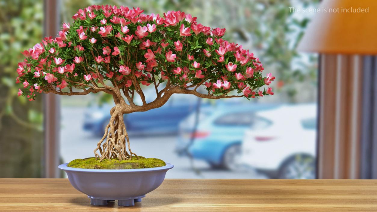 Miniature Green Bonsai Tree with Flowers in Pot 3D