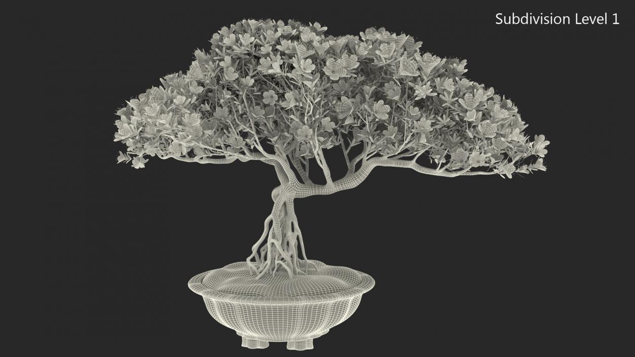 Miniature Green Bonsai Tree with Flowers in Pot 3D