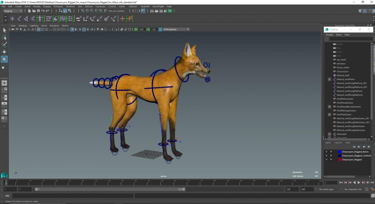 3D Chrysocyon Rigged for Maya