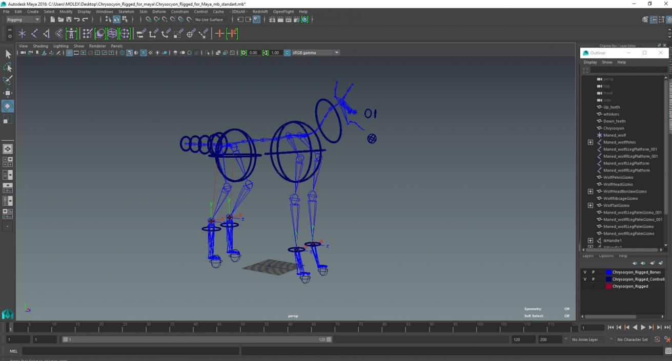 3D Chrysocyon Rigged for Maya