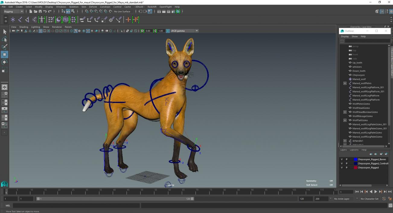 3D Chrysocyon Rigged for Maya