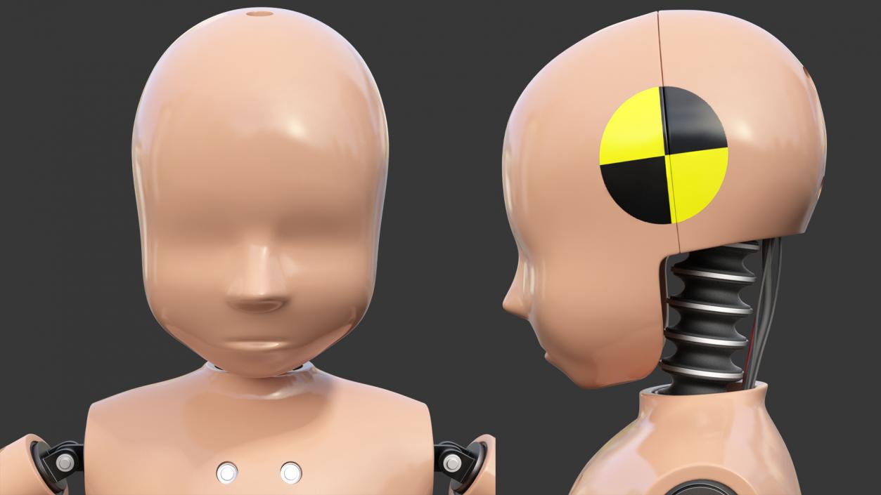 Child Crash Test Dummy T-Pose 3D model