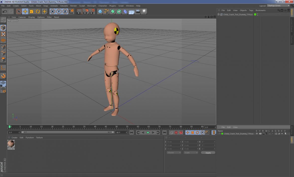 Child Crash Test Dummy T-Pose 3D model