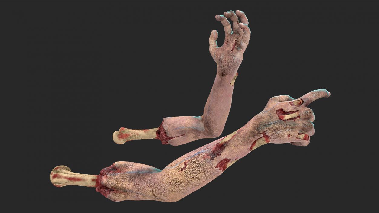 3D Horror Zombie Arms model