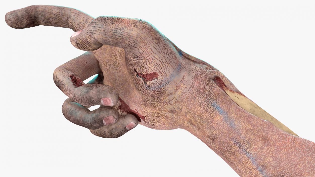 3D Horror Zombie Arms model | 3D Molier International