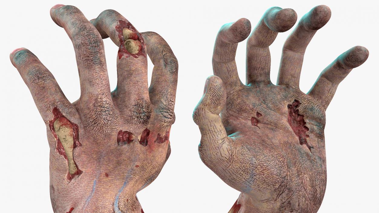 3D Horror Zombie Arms model