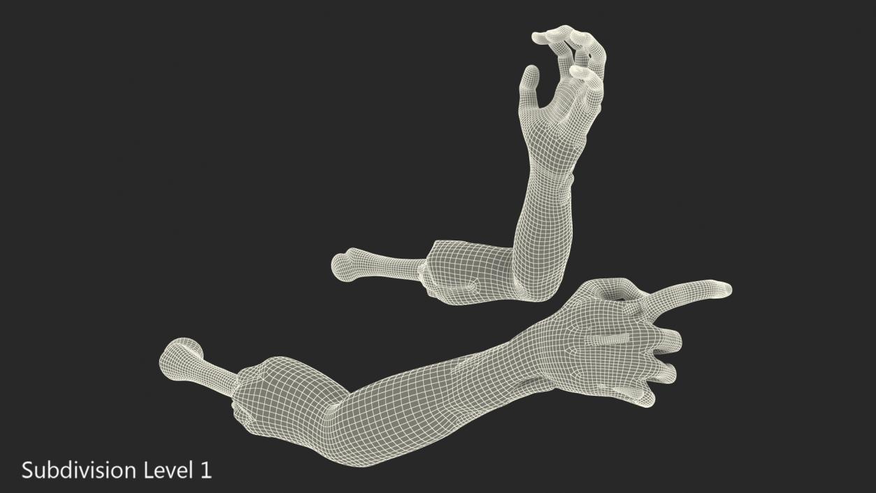 3D Horror Zombie Arms model