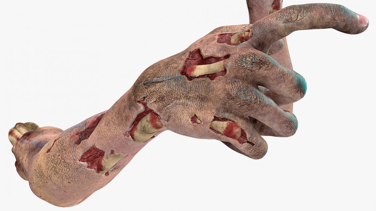 3D Horror Zombie Arms model