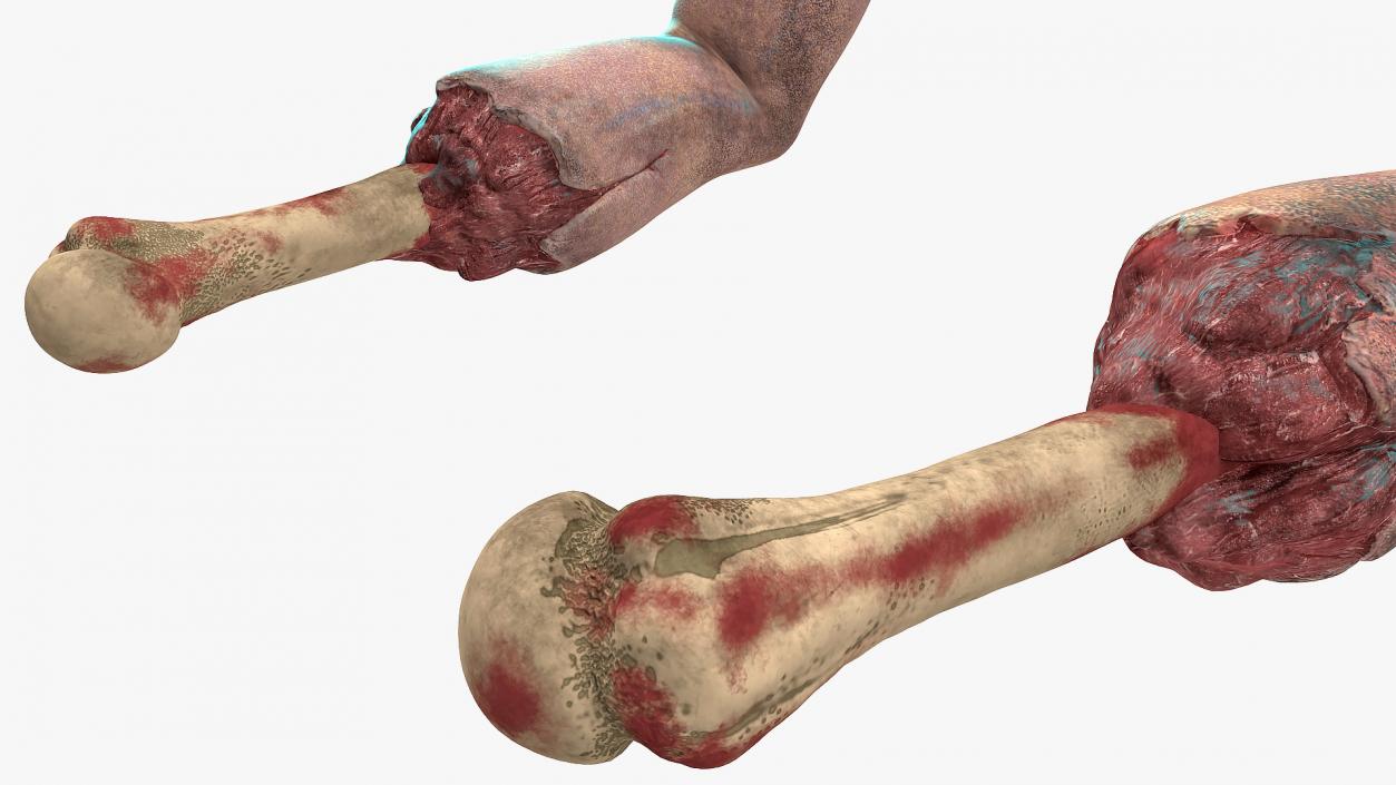 3D Horror Zombie Arms model