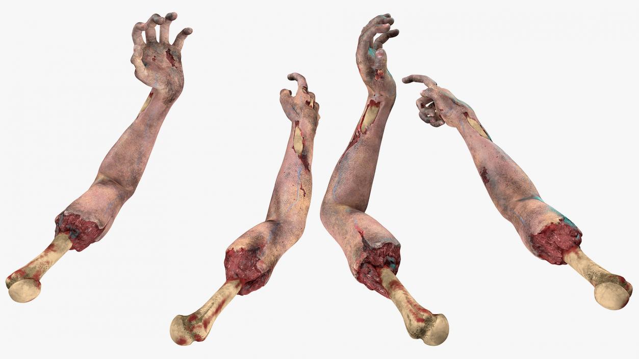 3D Horror Zombie Arms model