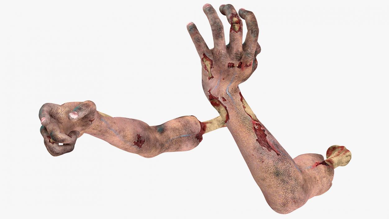 3D Horror Zombie Arms model