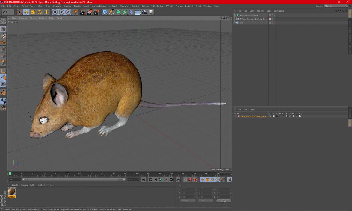 3D model False Mouse Sniffing Pose