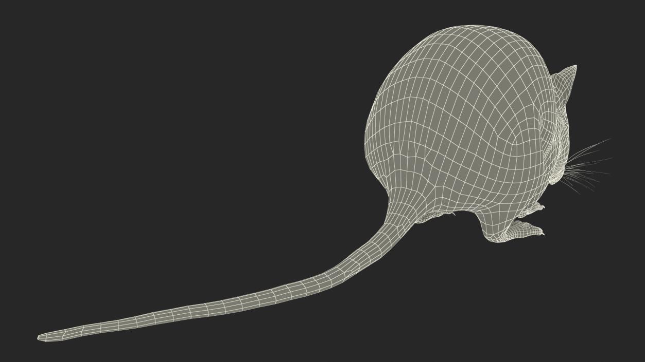 3D model False Mouse Sniffing Pose