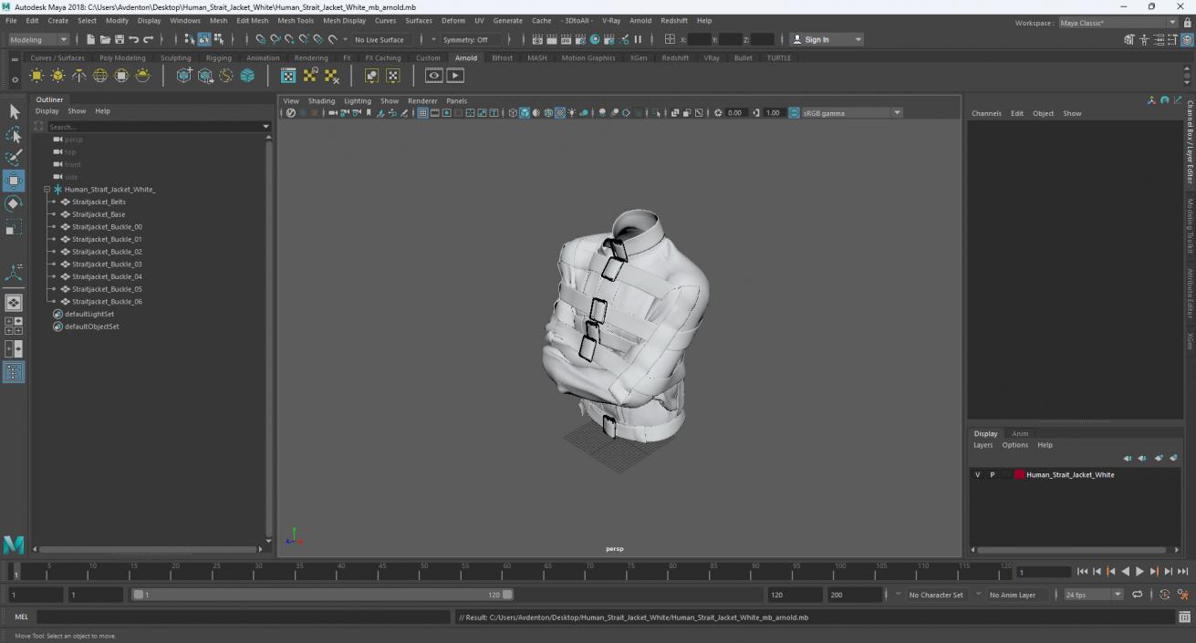 3D model Human Strait Jacket White