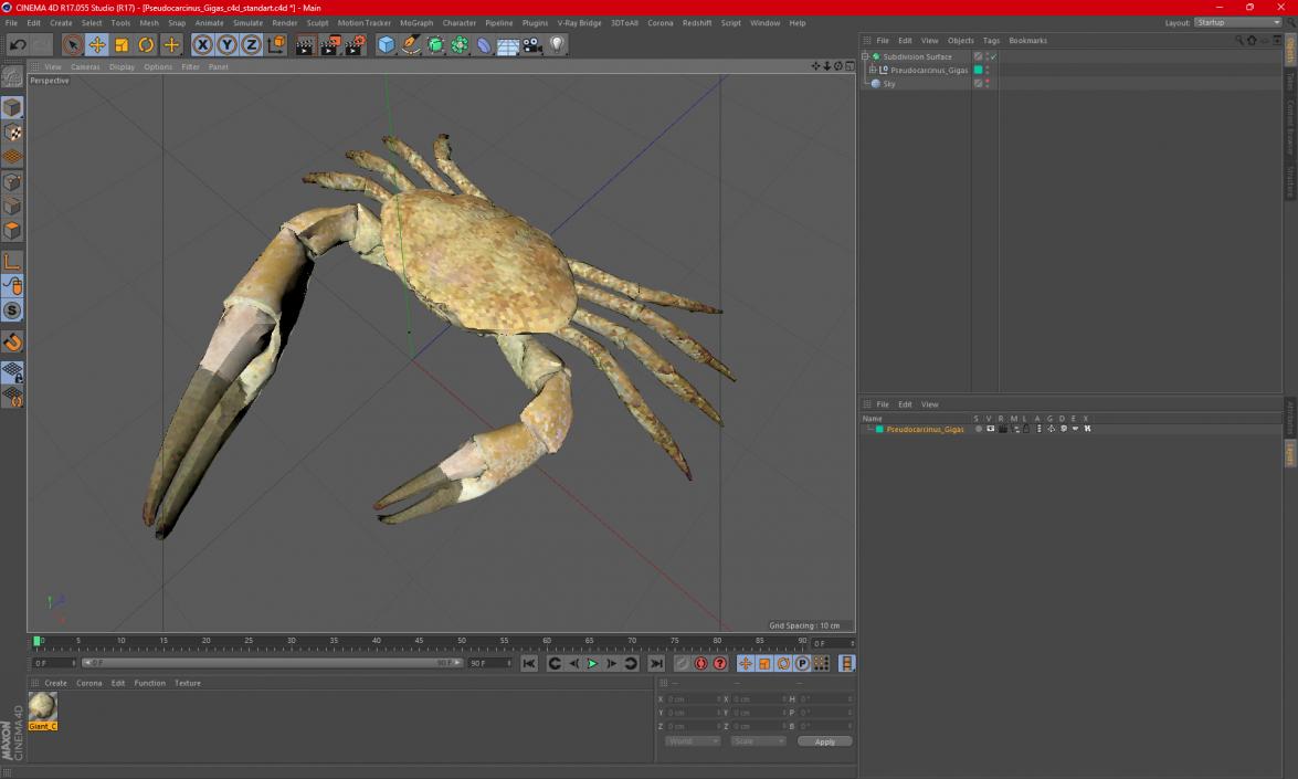 3D model Pseudocarcinus Gigas