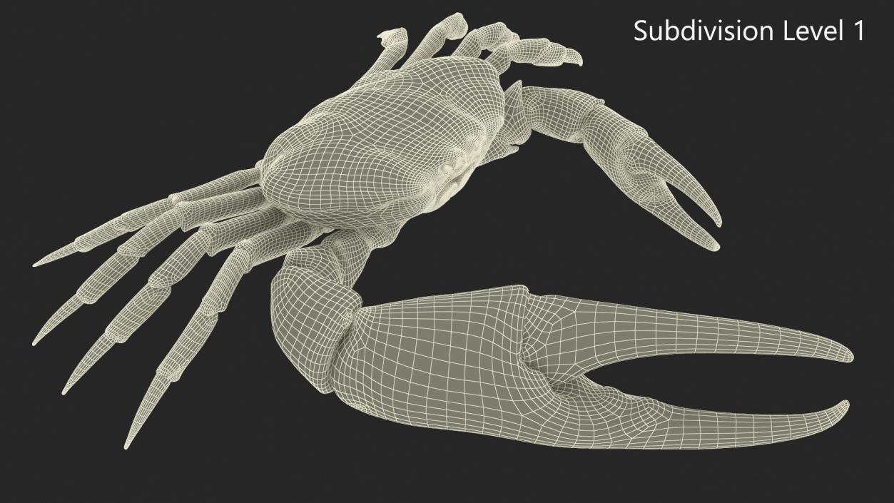 3D model Pseudocarcinus Gigas