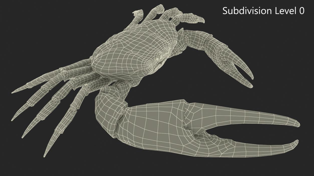 3D model Pseudocarcinus Gigas