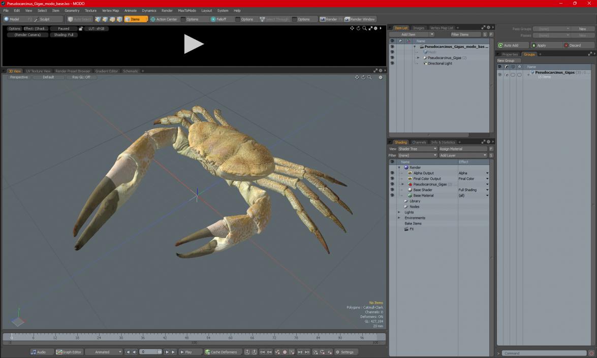 3D model Pseudocarcinus Gigas