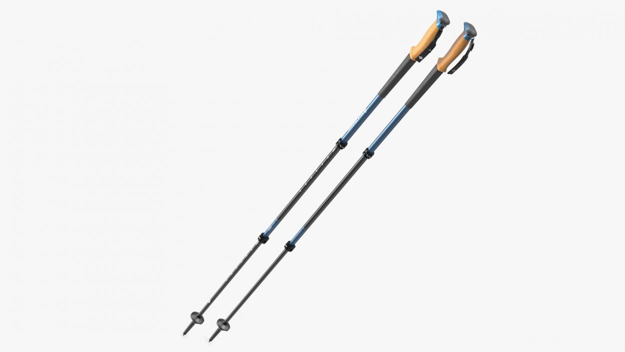 3D Idle Blue Black Diamond Carbon Trekking-Poles(1) model