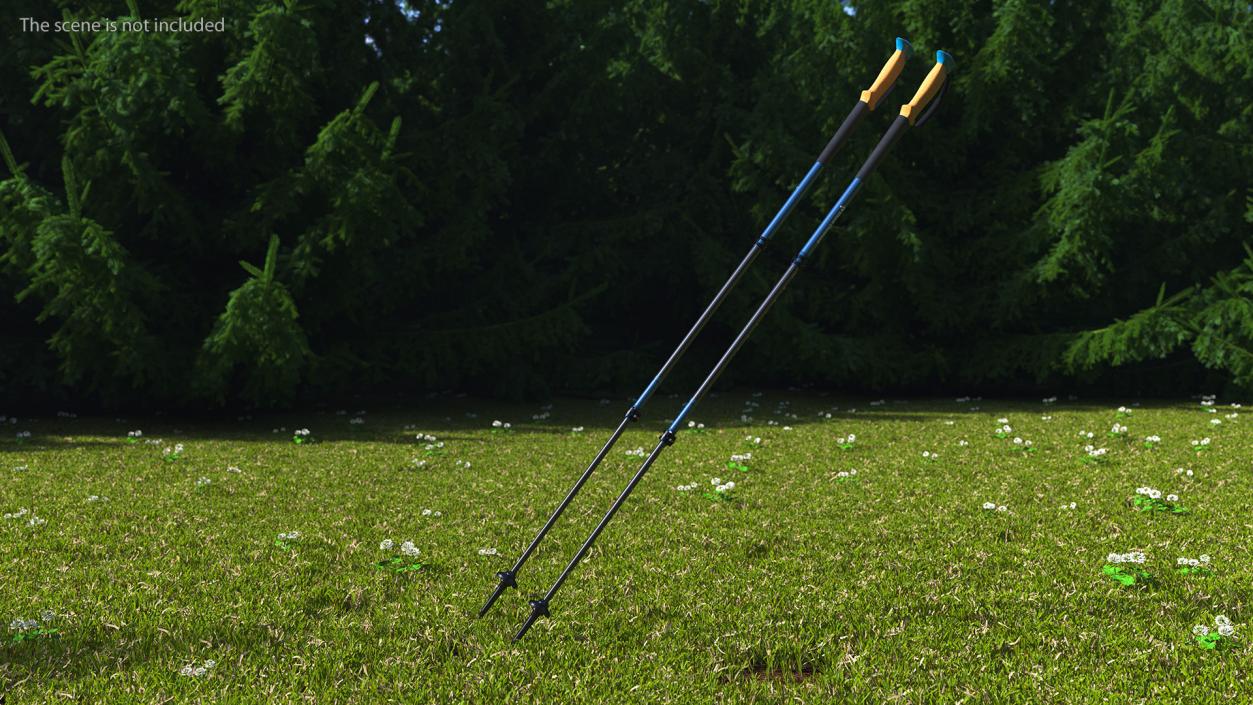 3D Idle Blue Black Diamond Carbon Trekking-Poles(1) model