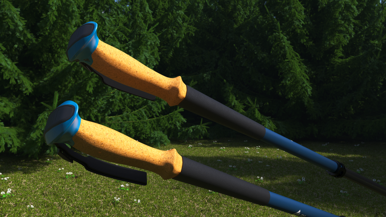 3D Idle Blue Black Diamond Carbon Trekking-Poles(1) model