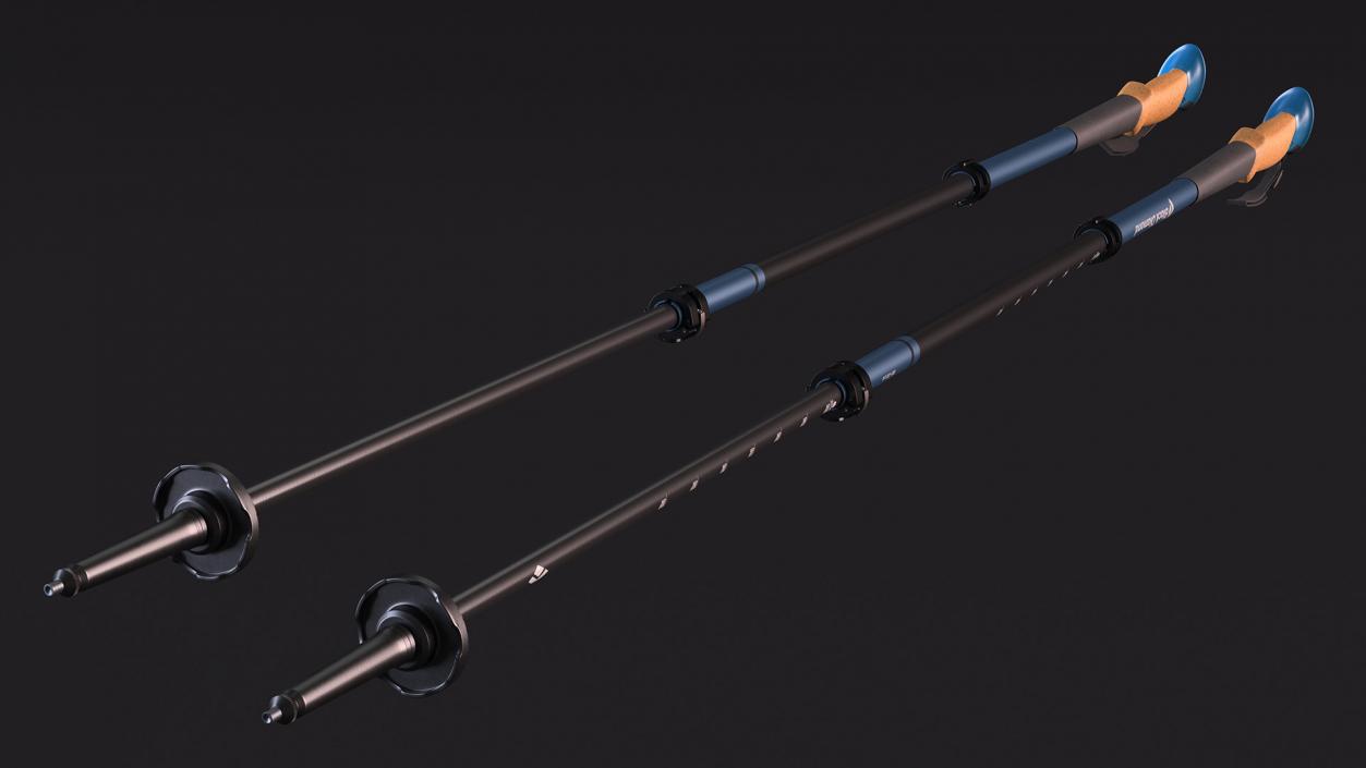 3D Idle Blue Black Diamond Carbon Trekking-Poles(1) model