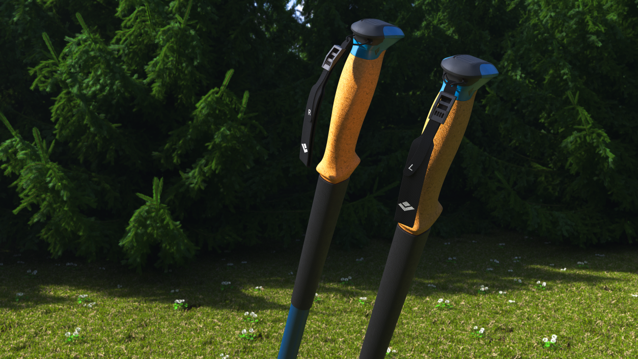 3D Idle Blue Black Diamond Carbon Trekking-Poles(1) model