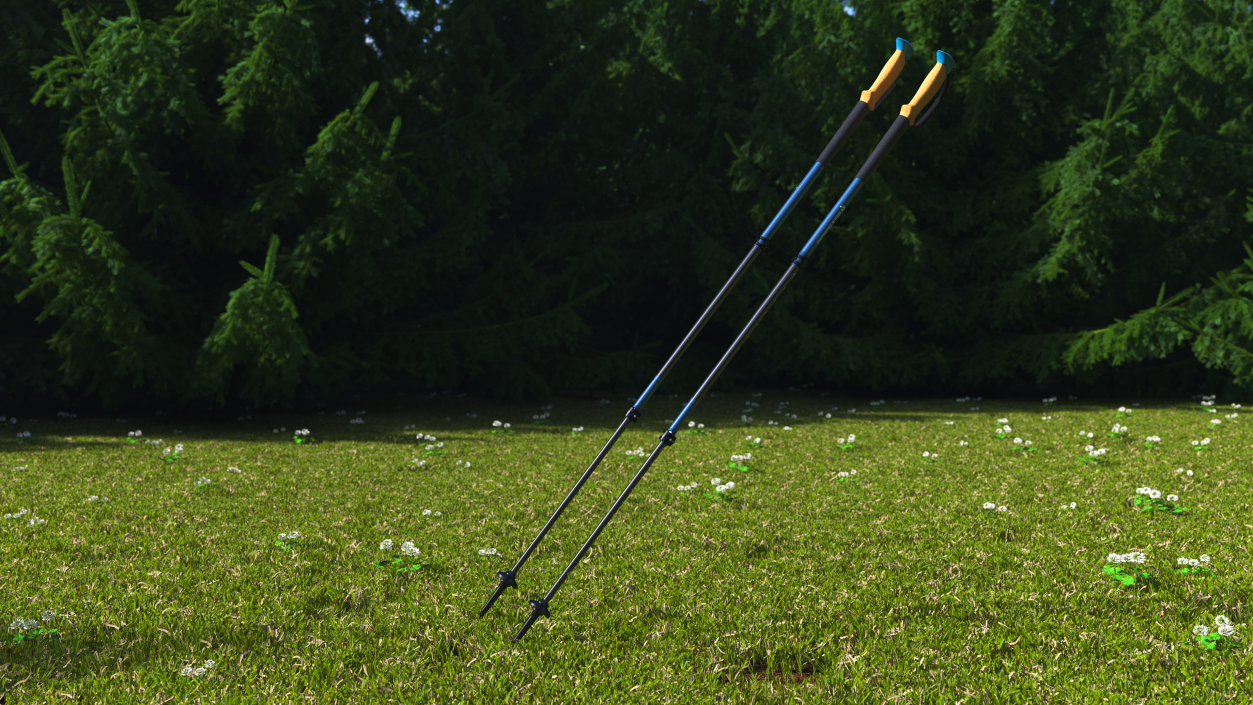 3D Idle Blue Black Diamond Carbon Trekking-Poles(1) model