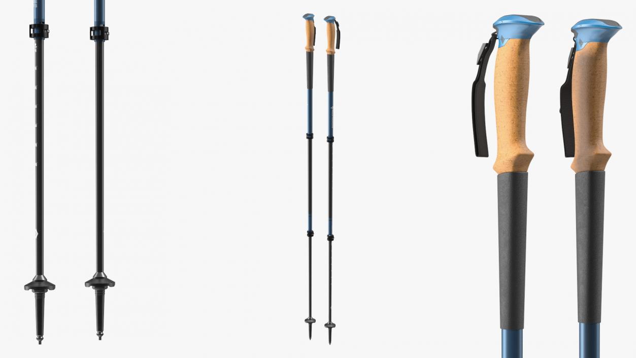 3D Idle Blue Black Diamond Carbon Trekking-Poles(1) model