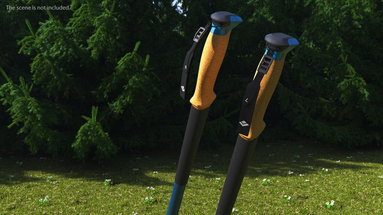 3D Idle Blue Black Diamond Carbon Trekking-Poles(1) model