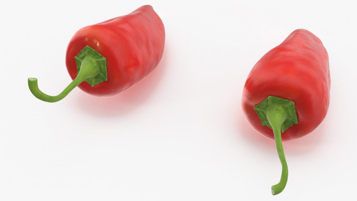 Chili Pepper 3D