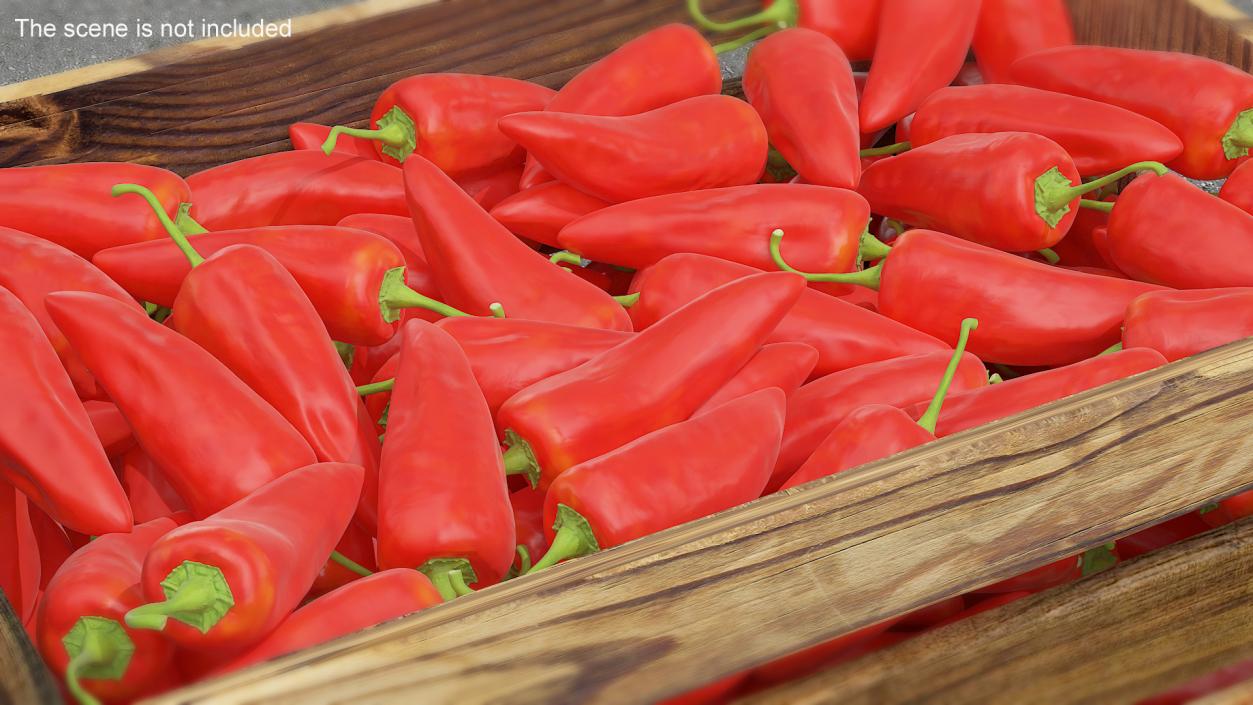 Chili Pepper 3D