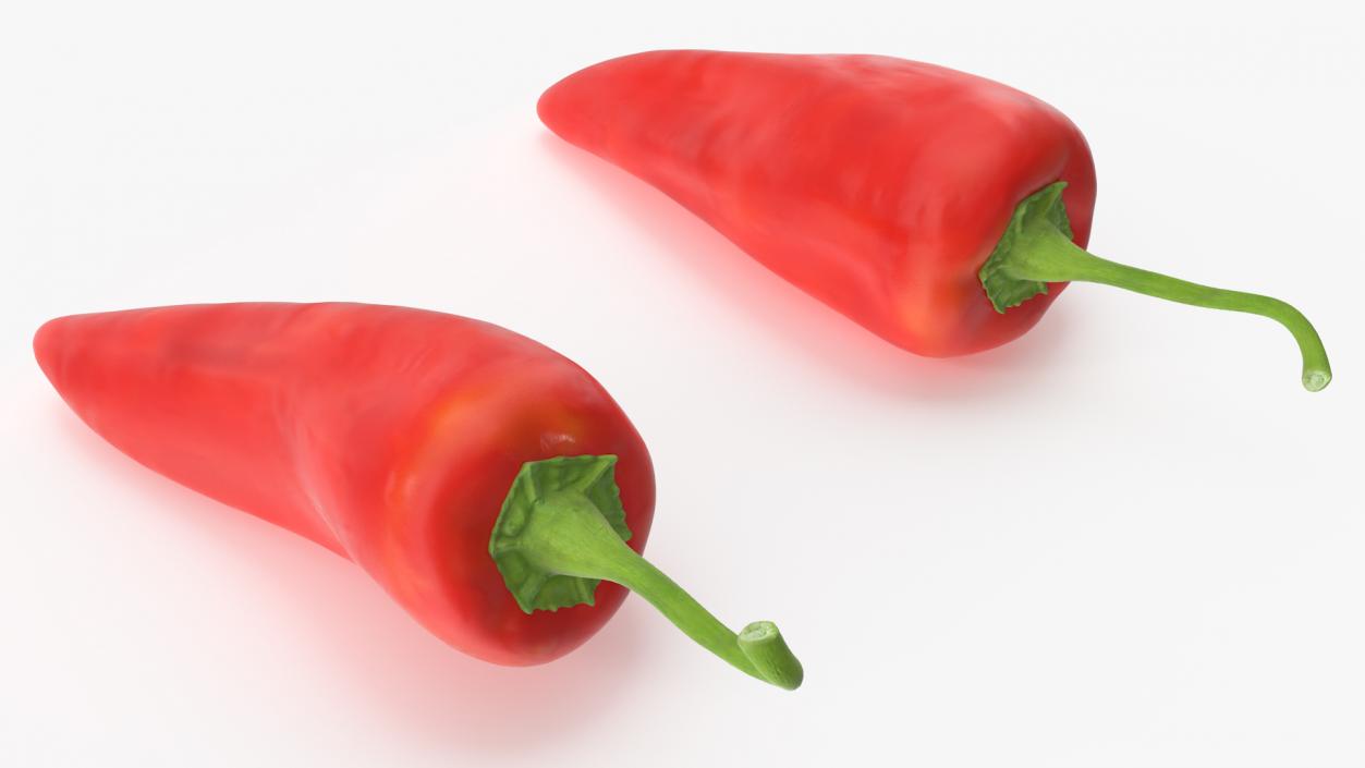 Chili Pepper 3D