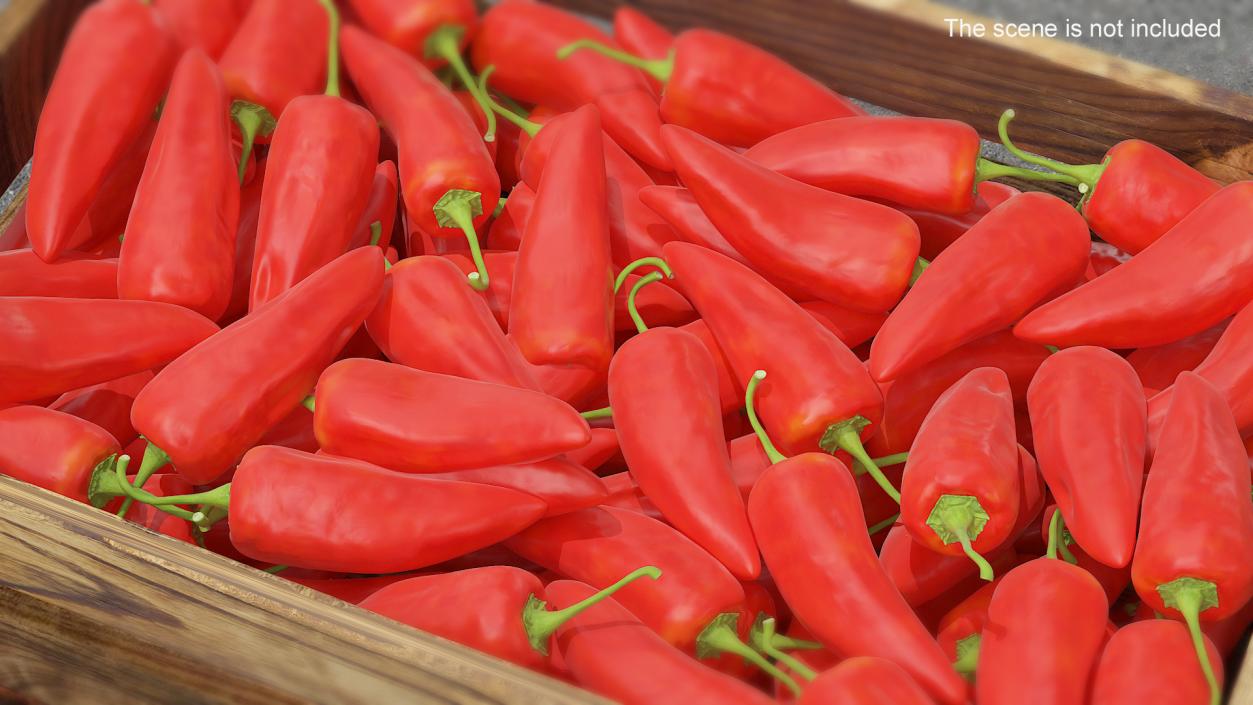 Chili Pepper 3D