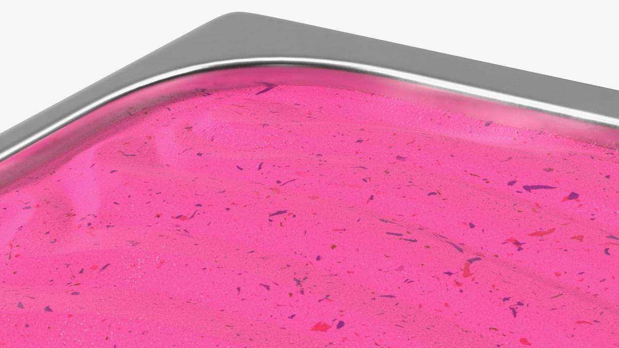 Blueberry Ice Cream Tray Untouched Surface 3D