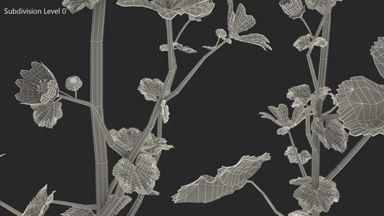 Wild Mallow Plants Set 3D