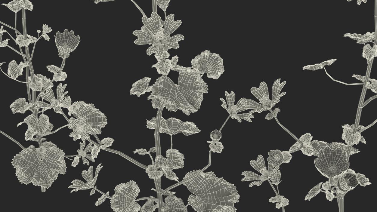 Wild Mallow Plants Set 3D