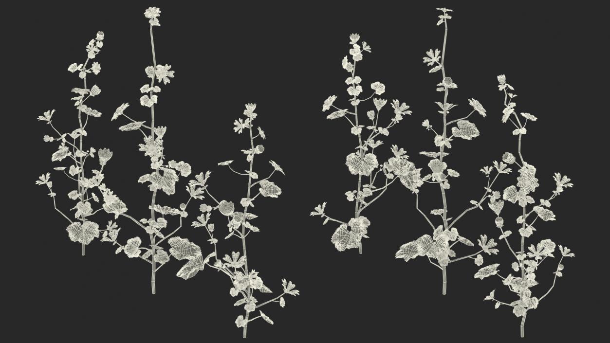 Wild Mallow Plants Set 3D