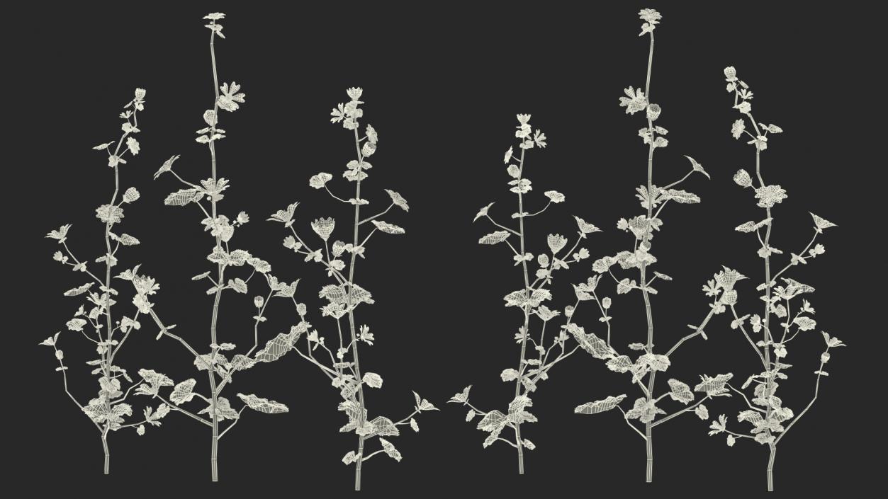 Wild Mallow Plants Set 3D