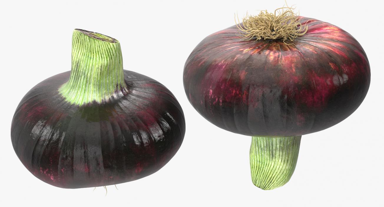 3D Vegetables Collection 2 model