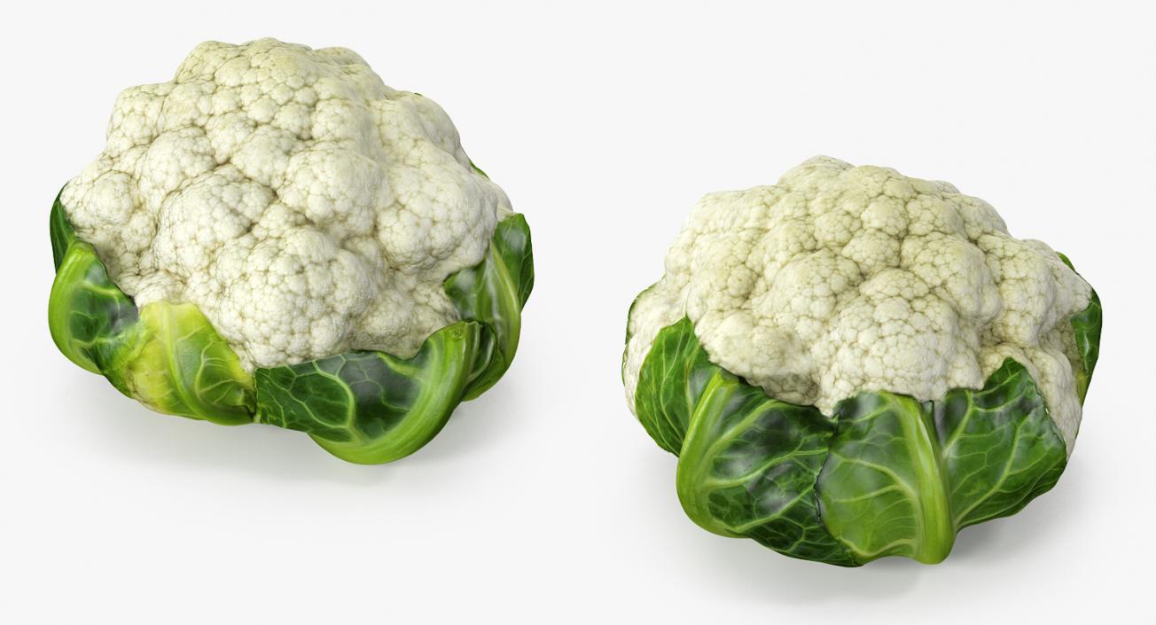 3D Vegetables Collection 2 model